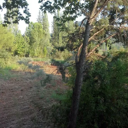 Ali Baba * Koycegiz (Mugla)