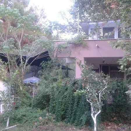 Ali Baba * Koycegiz (Mugla)