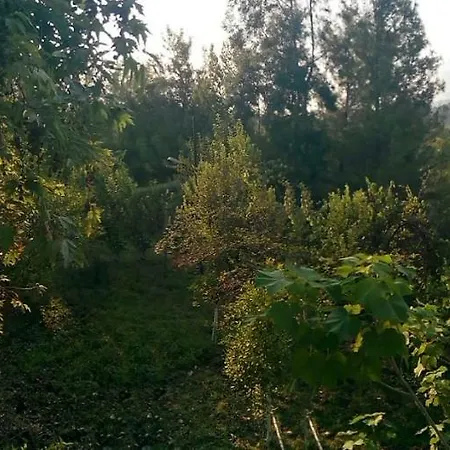 Privatunterkunft Ali Baba *