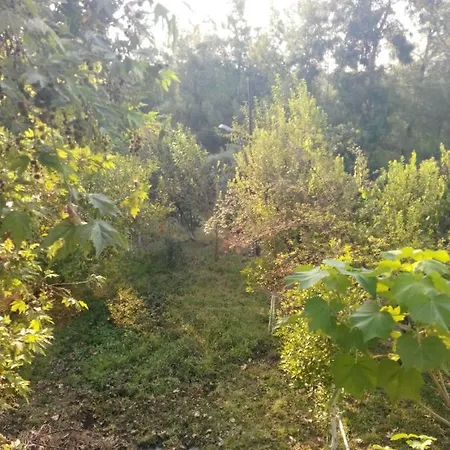 Ali Baba * Koycegiz (Mugla)